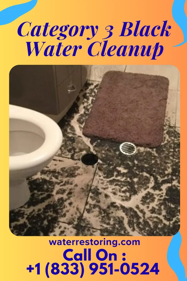 Category 3 Black Water Cleanup in Pleasant Hill, PA