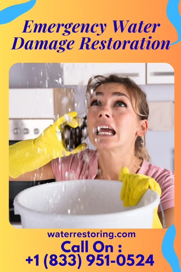 Emergency Water Damage Restoration in Pleasant Hill, PA