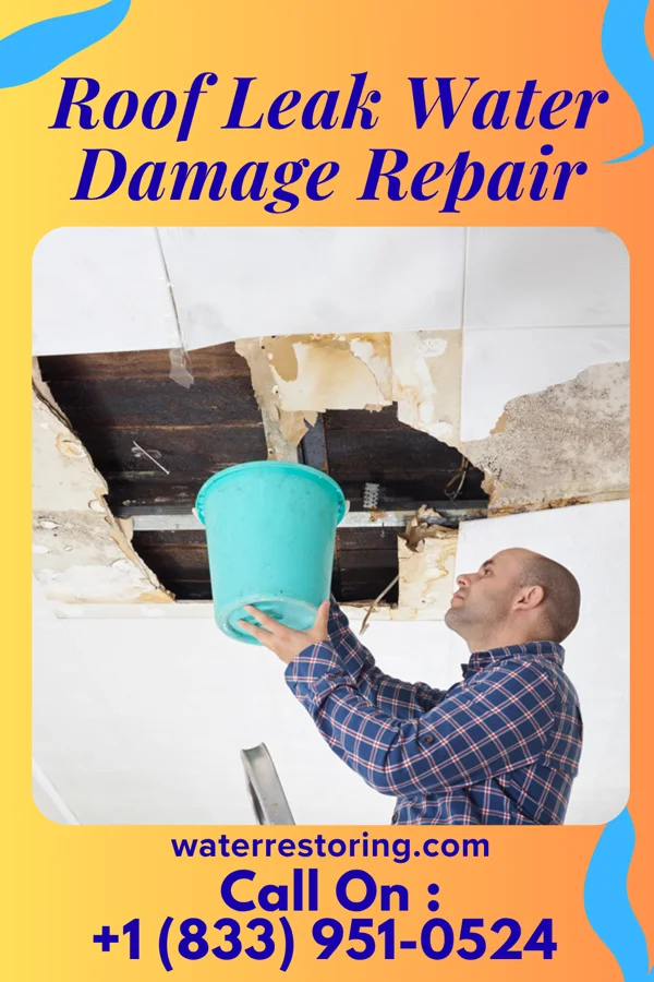 Roof Leak Water Damage Repair in Pleasant Hill, PA