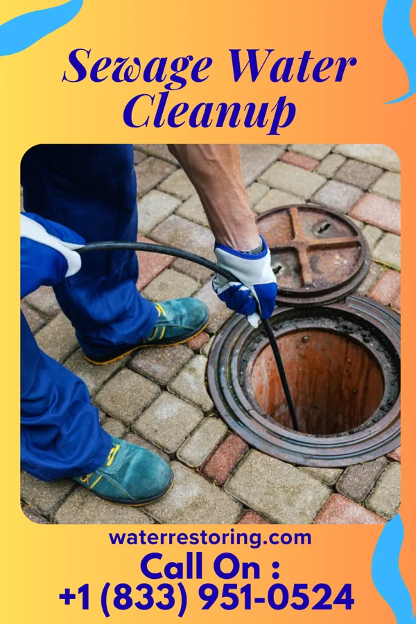 Sewage Water Cleanup in Pleasant Hill, PA